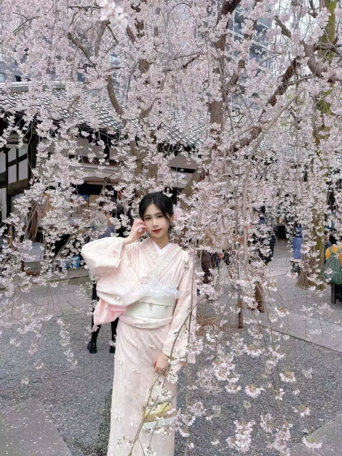 微信图片_2026-05-05_221412_545.webp